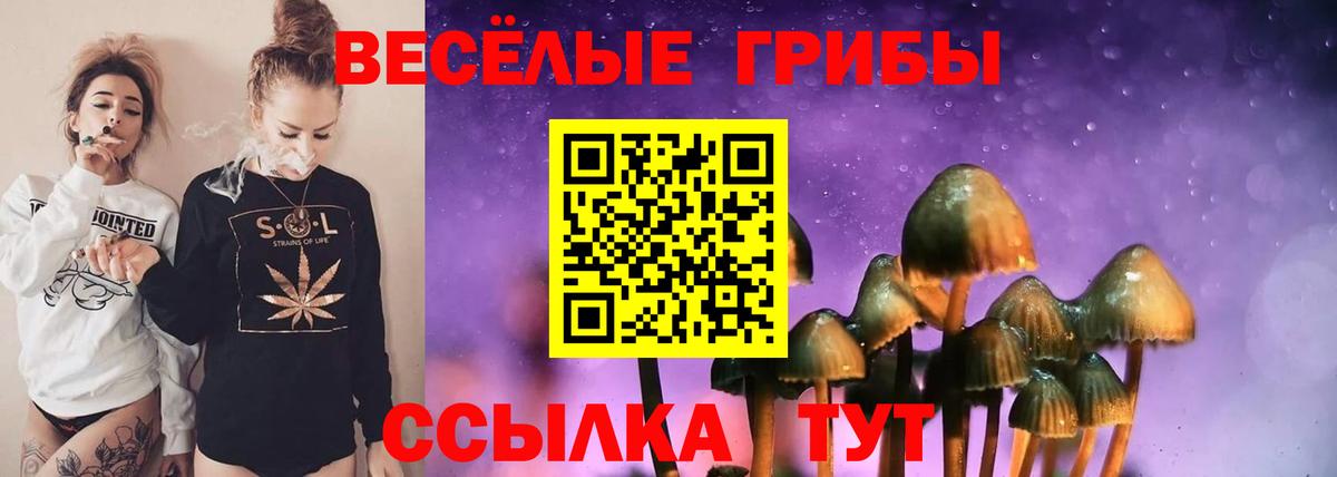 Галлюциногенные грибы MAGIC MUSHROOMS Искитим